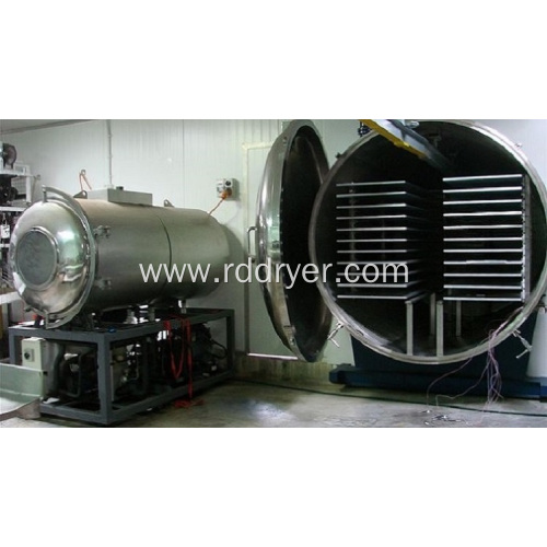 Fruits Concentration Vacuum Drying Machine for Food Industry